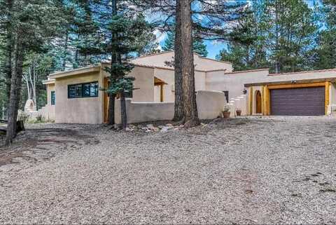 18 Meadow Brook Terrace, Angel Fire, NM 87710