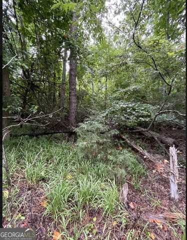 Lot 51 Alpine, Lavonia, GA 30553