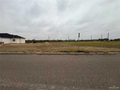 8016 Coyote Drive, Mission, TX 78574