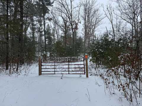 Stronach Dam Road, Wellston, MI 49689