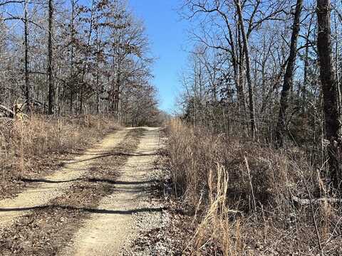 Lot 9 Private Road Off Ridge Haven, Mammoth Spring, AR 72554