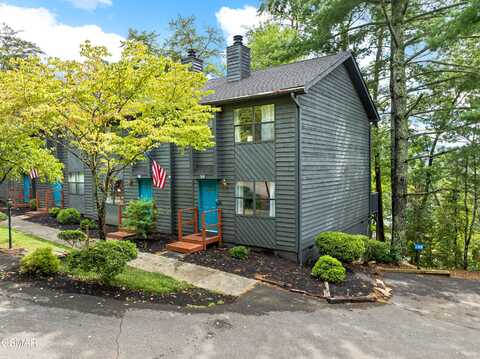 3690 Plaza Way unit: 131, Pigeon Forge, TN 37863