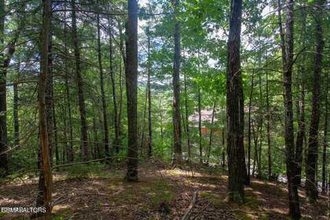 Lot 0013 High Top Loop, Sevierville, TN 37862