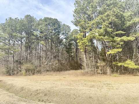 50002 Sunset Point Dr, Amory, MS 38821