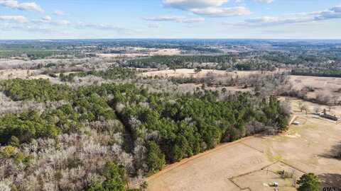 TBD Goldenrod Road, Gilmer, TX 75645