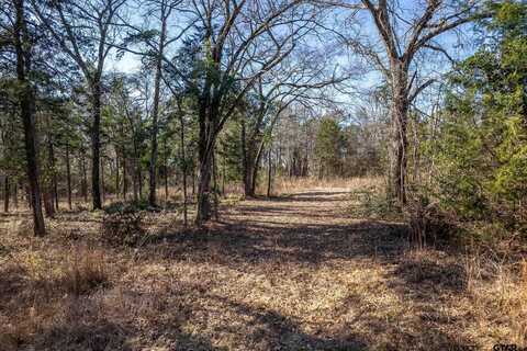 789 County Road 4575, Winnsboro, TX 75494