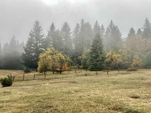 17351 Zenia-Lake Mountain Road, Kettenpom, CA 95595