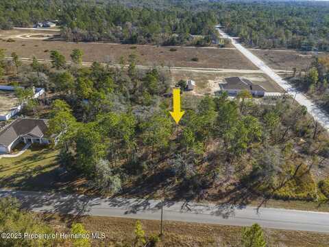 0 Dusky Warbler Road, Weeki Wachee, FL 34614