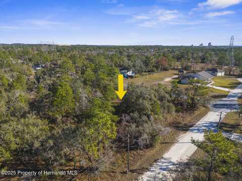 0 Dusky Warbler Road, Weeki Wachee, FL 34614