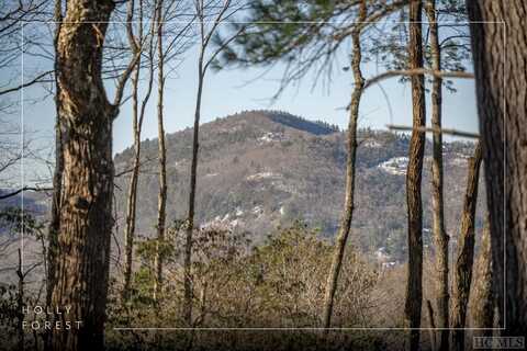 Lot 65 Buckberry Drive, Sapphire, NC 28774