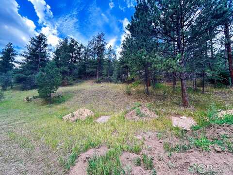 211 Streamside Dr, Glen Haven, CO 80532