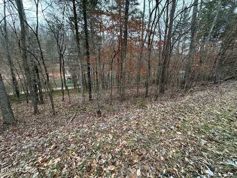 Lot 2a E Norris Point (082 A 002.00) Rd, La Follette, TN 37766