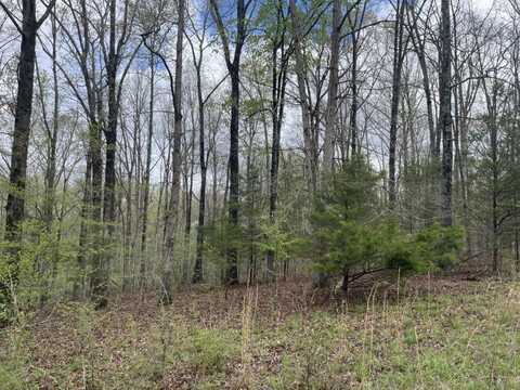 0 Eagle Creek Ct Lot 14, Nunnelly, TN 37137