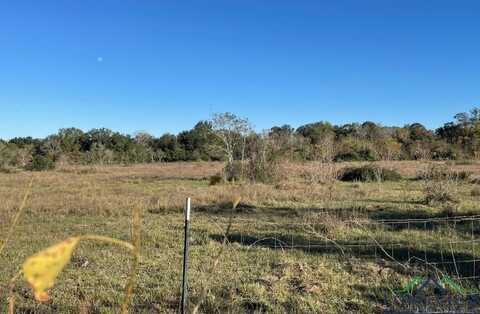 Tbd Cemetary RD, Manvel, Out Of Area, TX 77578