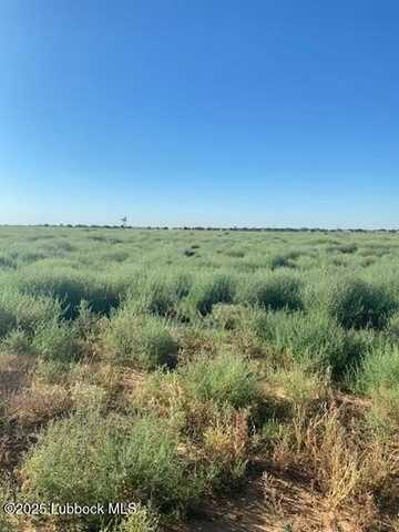 7001 County Road 6000, Shallowater, TX 79363