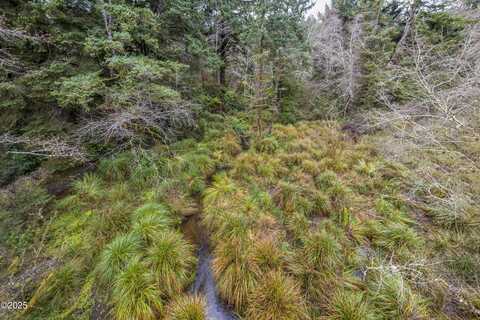 TL#1000 NE Oregon, Yachats, OR 97498