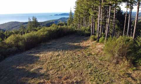 0 China Mountain Rd, Port Orford, OR 97465