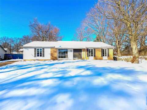 12631 Treeyard Lane, Saint Louis, MO 63138