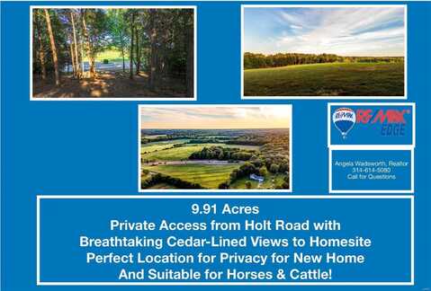 3731 Holt Rd - 9.91 Acres, Wentzville, MO 63385