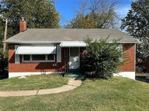 815 Fontaine Place, Saint Louis, MO 63137