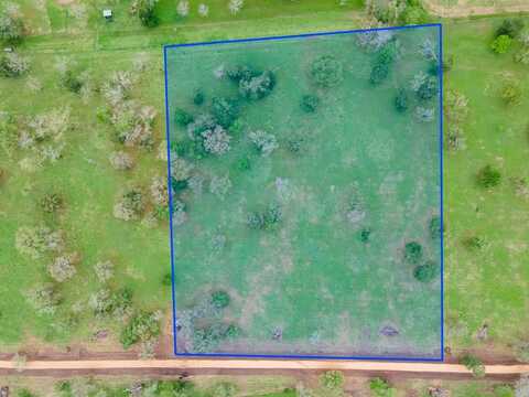 315 Valley Oaks Drive, Van Vleck, TX 77482