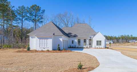 700 Ivywood Court, Madison, MS 39110
