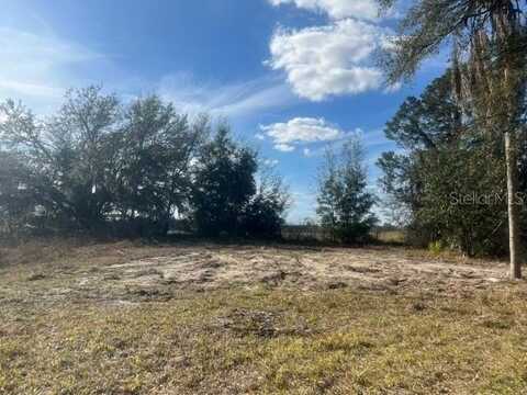 1370 SE 20TH TERRACE, SUMTERVILLE, FL 33585