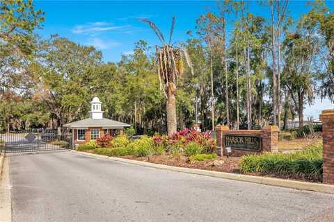 Lot 17 GRIFFIN LANDING, LADY LAKE, FL 32159