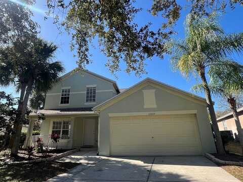 11005 LAUREL BROOK COURT, RIVERVIEW, FL 33569