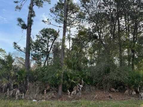 1635 3RD, DELAND, FL 32724