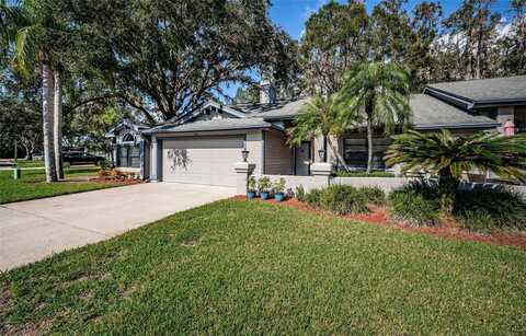 943 LUCAS LANE, OLDSMAR, FL 34677