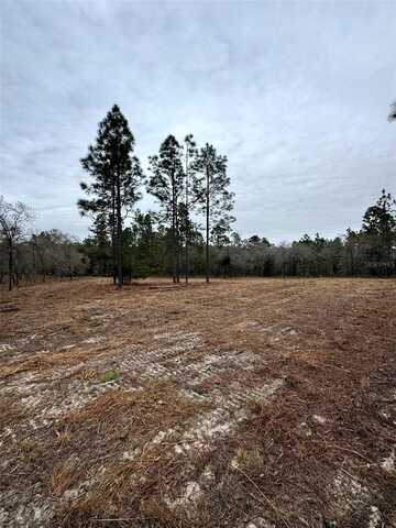 Tbd SE 133RD TERRACE, MORRISTON, FL 32668