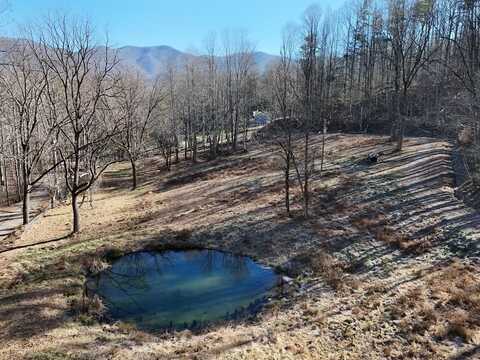 462 Eagle Fork Terrace, HAYESVILLE, NC 28904