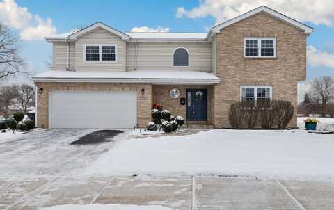 16909 Hooks Court, South Holland, IL 60473