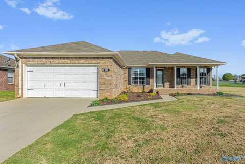 230 Misty Cove Court, New Market, AL 35761