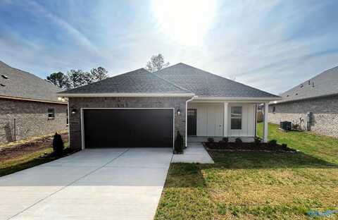 15601 Mizewell Lane NW, Harvest, AL 35749