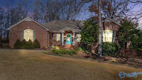 20255 Capitol Hill Drive, Tanner, AL 35671