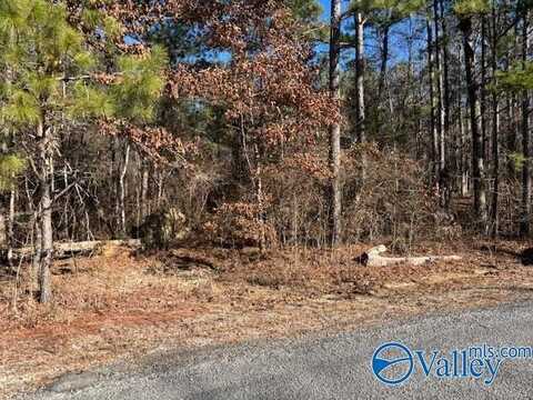 Lot 33 Odonnell Road, Ashville, AL 35953