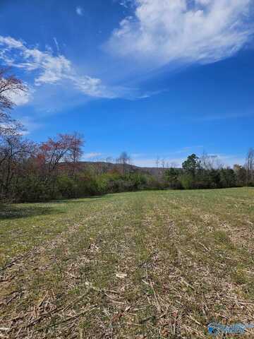 13.5 Acres County Road 687, Henagar, AL 35978