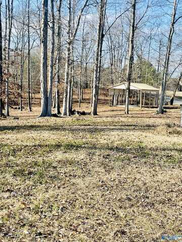 6 Acres County Road 459, Centre, AL 35960