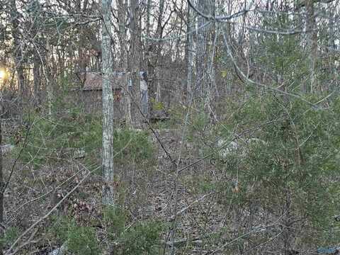.74 Acres Lot#2 Wesley Childers Road, New Hope, AL 35760