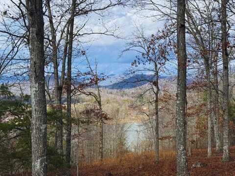 Lot 8 Drake Ridge, Hayesville, NC 28904