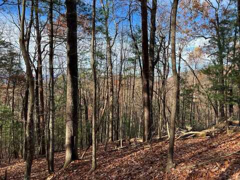 J-214 Walnut Mountain Road, Ellijay, GA 30536