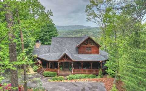 902 Laurel Creek Trail, Cherry Log, GA 30522