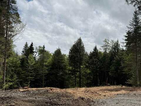 Lot 2 Old Mill Crossing, Wilmington, VT 05363