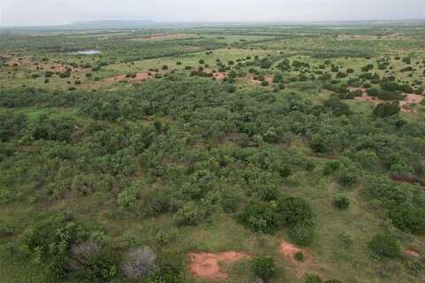 Tbd County Road 175, Lawn, TX 79530
