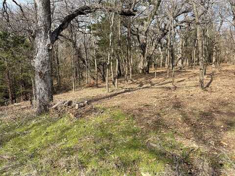 Tbd 3.9 Acres Barron Road, Covington, TX 76636