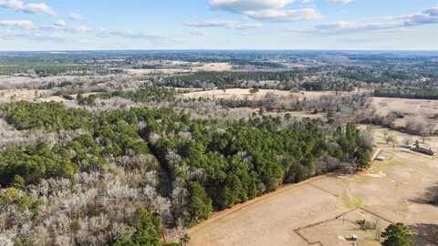 Tbd Goldenrod Road S, Gilmer, TX 75645