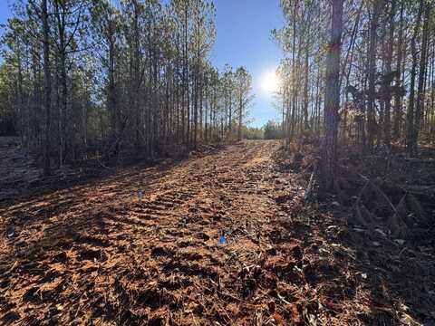 0 Ryan Salem Rd Lot 1&2, Fulton, MS 38843