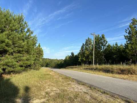 0 Pine Ridge Road, Purvis, MS 39475